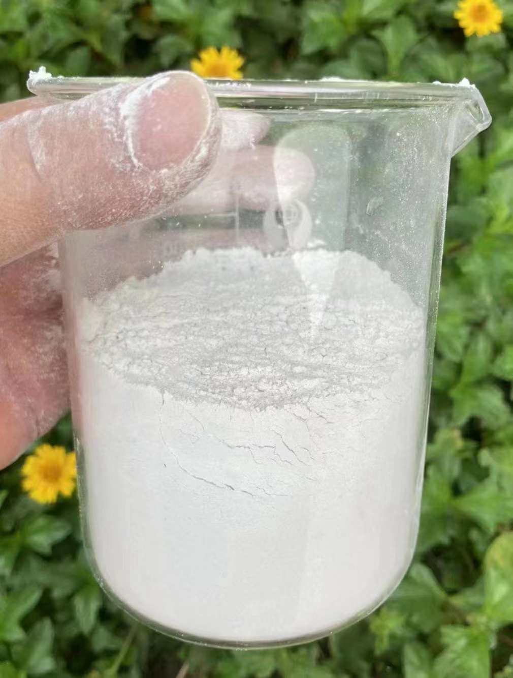 六氯代苯 六氯代苯